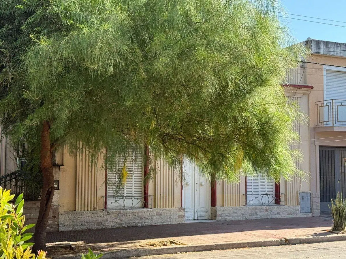 Lote en Venta 423mtrs apto desarrollo en Alberdi 5