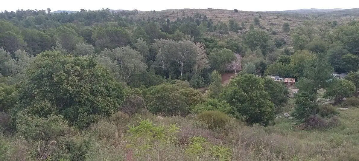 VENTA CABAÑA TRONCOS APTO CREDITOVISTA 360 PUNILLA 2