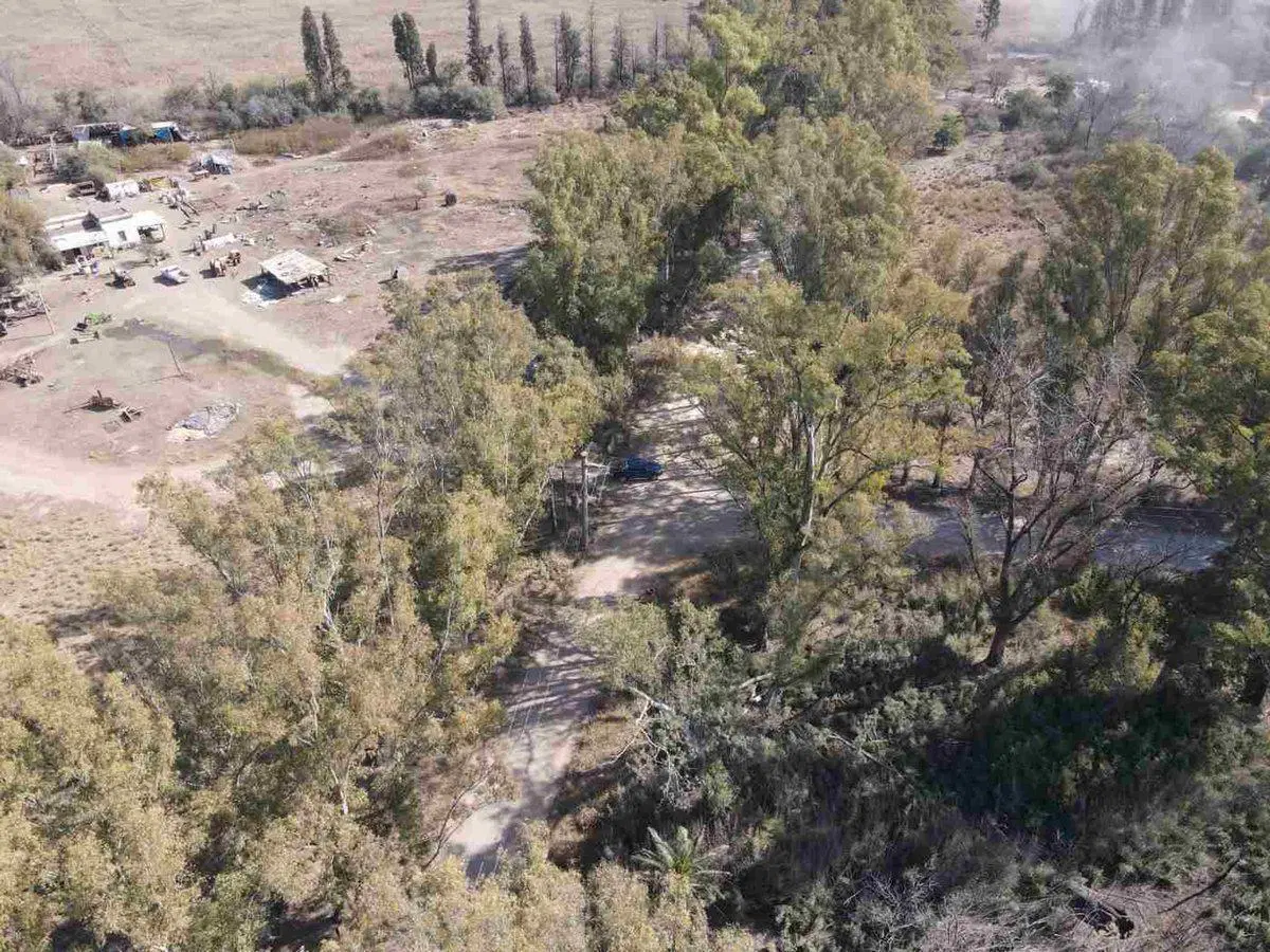 VENTA TERRENO 5HAS EN B FERREYRA CÓRDOBA 5