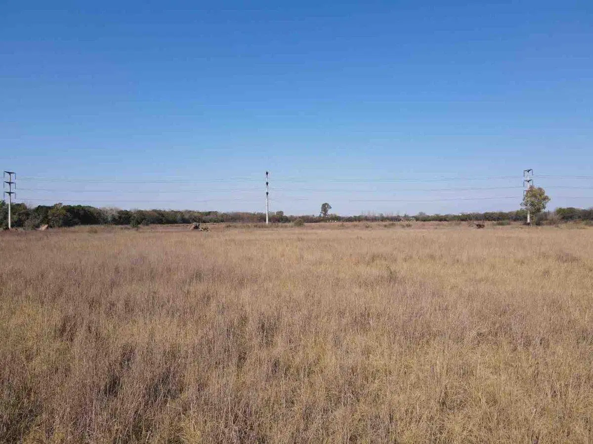 VENTA TERRENO 5HAS EN B FERREYRA CÓRDOBA 4