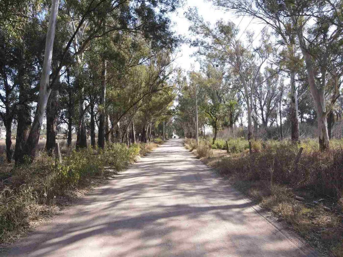 VENTA DE CAMPO 11,72 HAS EN B FERREYRA CORDOBA 2