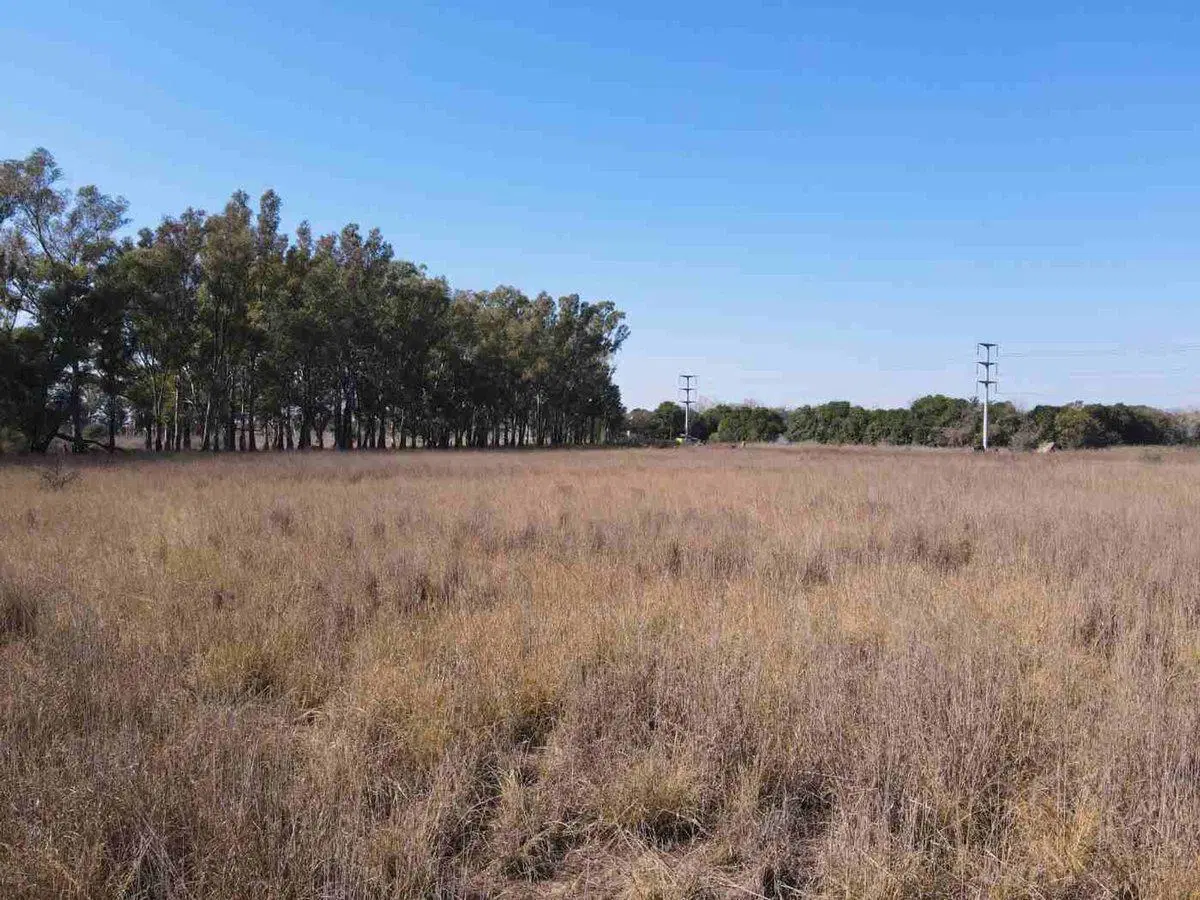 VENTA DE CAMPO 11,72 HAS EN B FERREYRA CORDOBA 3