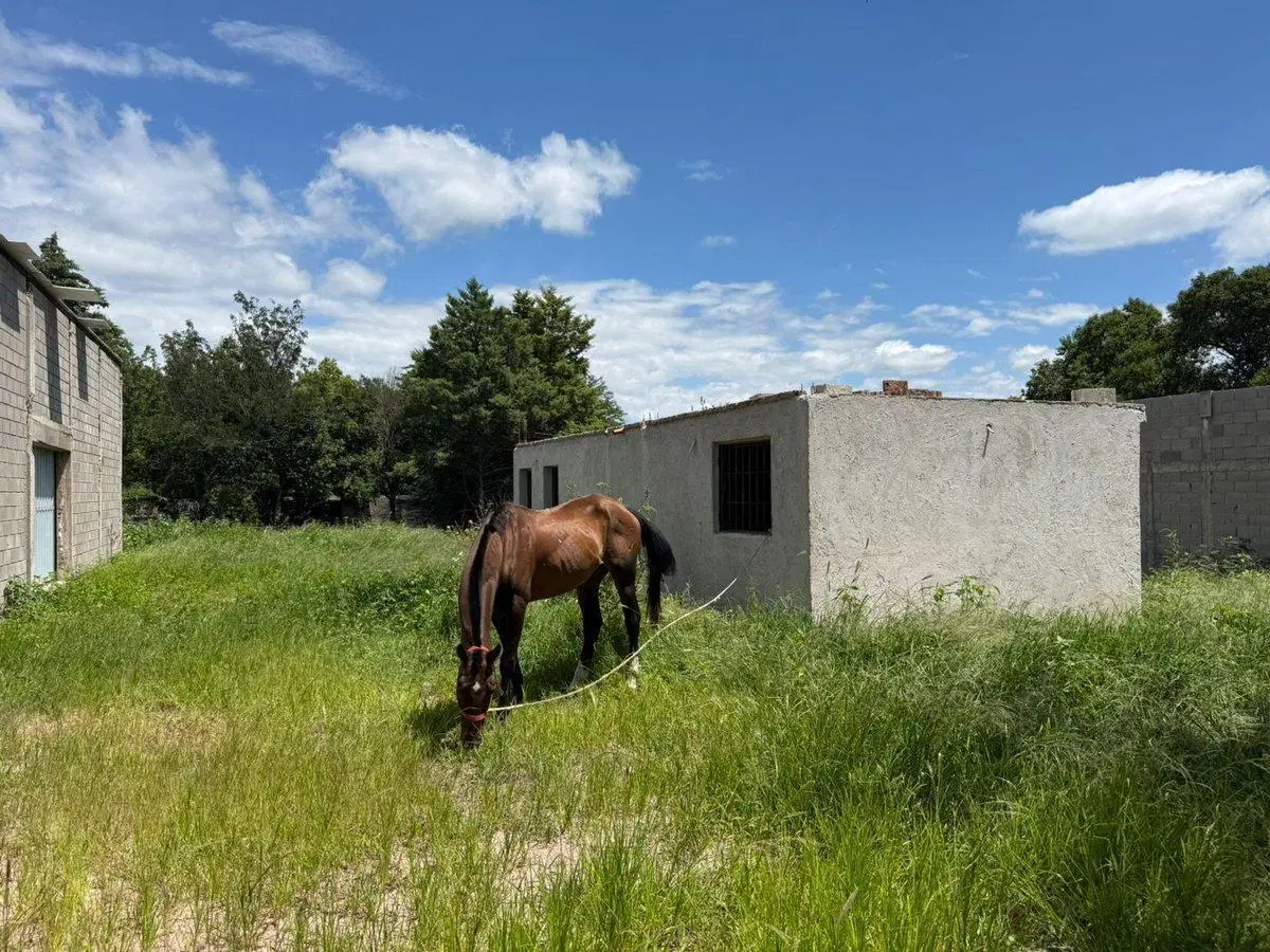 VENTA GALPÓN EN UNQUILLO CON VIVIENDA Y BAÑOS 4