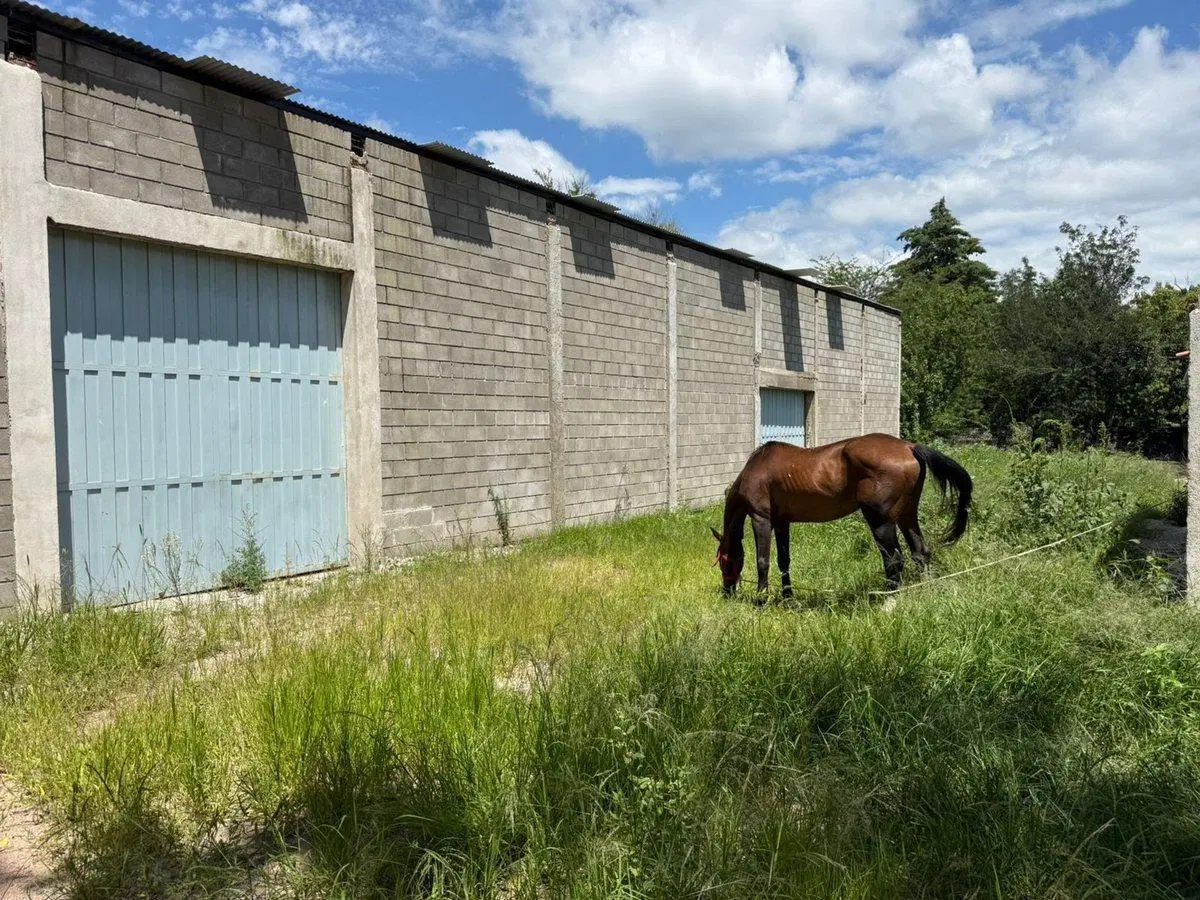 VENTA GALPÓN EN UNQUILLO CON VIVIENDA Y BAÑOS 8