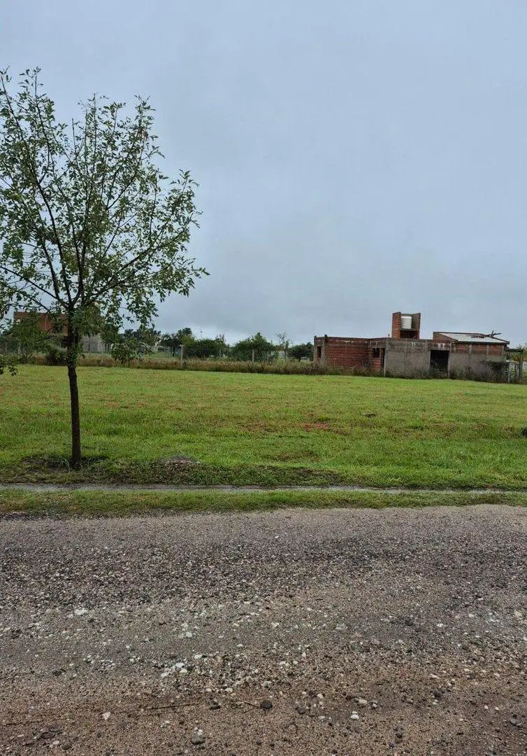 LOTE LA VIEJA ESTANCIA JUAREZ CELMAN 2