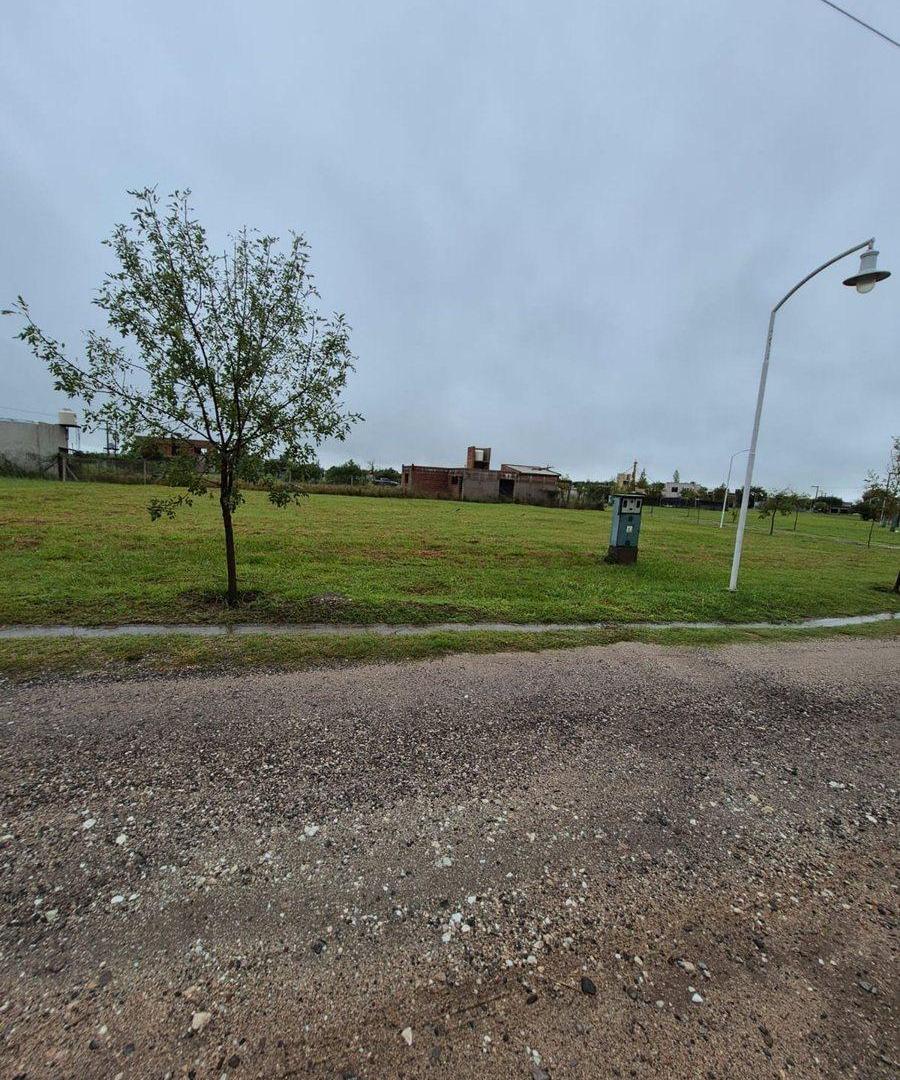 LOTE LA VIEJA ESTANCIA JUAREZ CELMAN