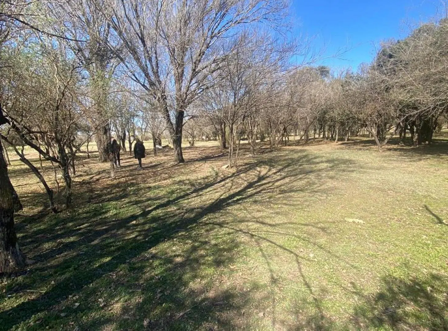 Lote 449 m2 en venta Valle de Golf. Malagueño 6