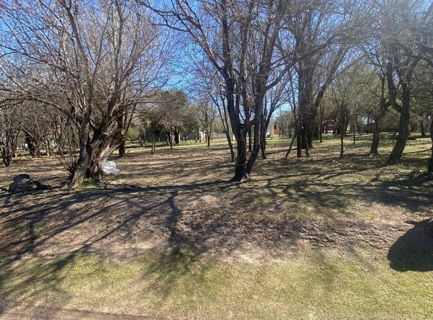 Lote 449 m2 en venta Valle de Golf. Malagueño 4