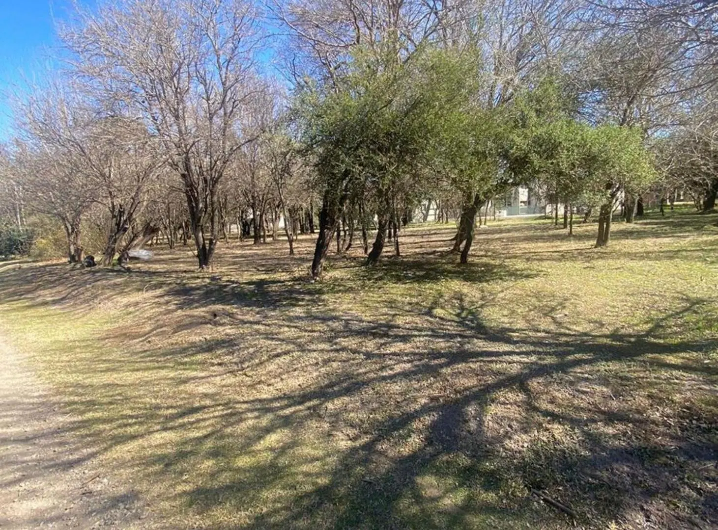 Lote 449 m2 en venta Valle de Golf. Malagueño 2