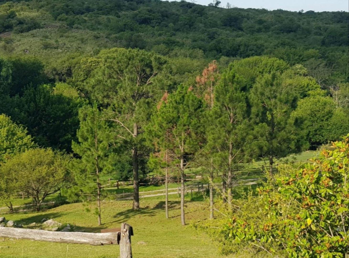 LOTE B. PRIVADO EL BUEN AIRE 3600 MTS ASCOCHINGA