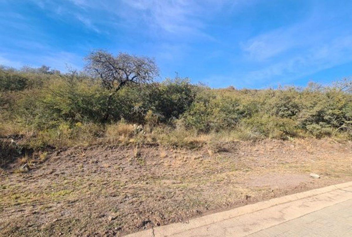 Foto de VENTA LOTE 1037 M2 B° LA DESEADA SIN PENDIENTE, imagen 3