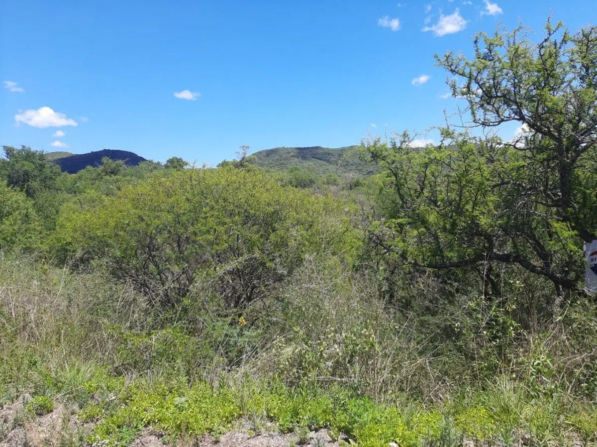 VENTA LOTE 1101 M2 2DA. USINA EMBALSE   ESCRITURA 2