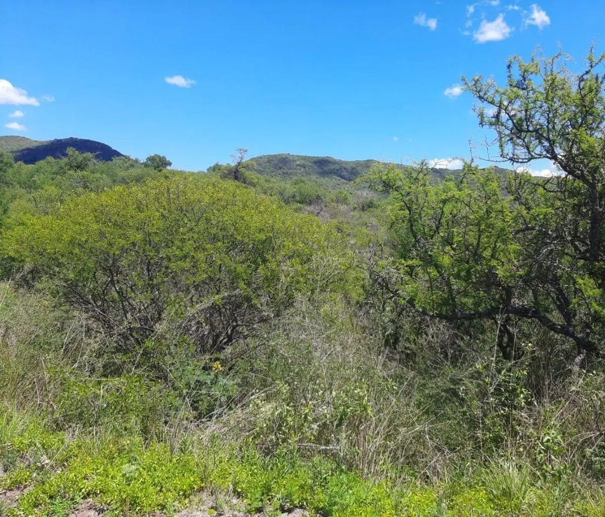 VENTA LOTE 1101 M2 2DA. USINA EMBALSE   ESCRITURA 3