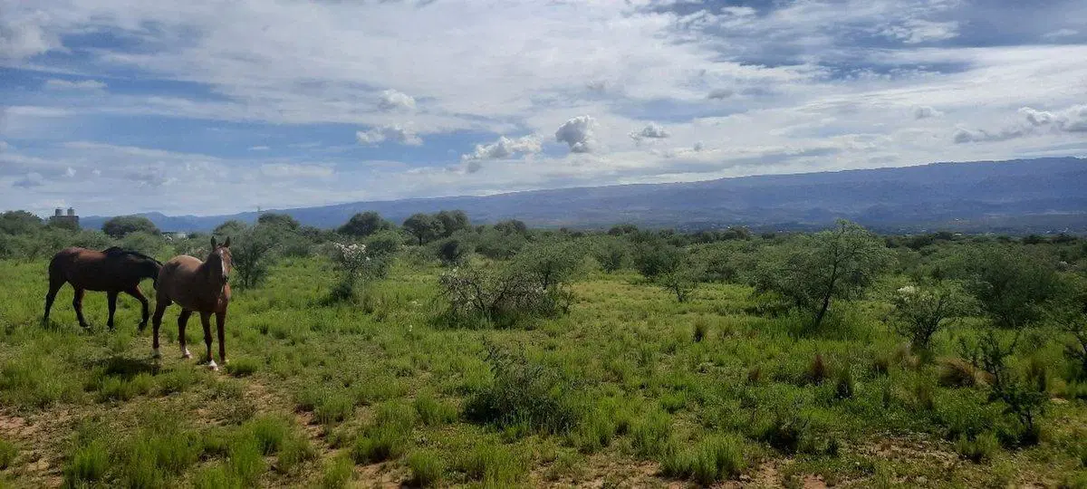 VENTA LOTE EN MINA CLAVERO 3