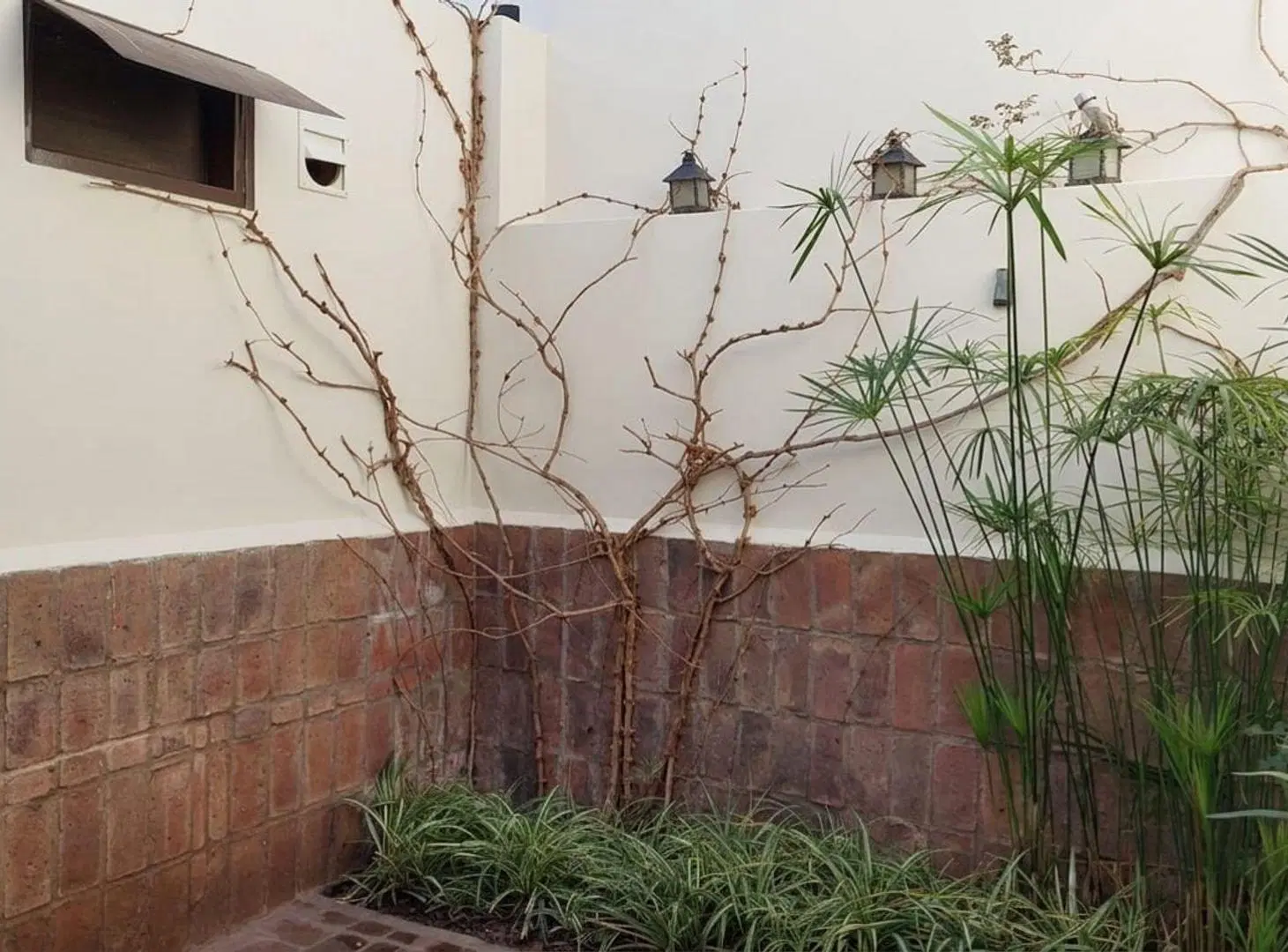 EN VENTA CASA 3 DORM ALEJANDRO CENTENO PILETA 8