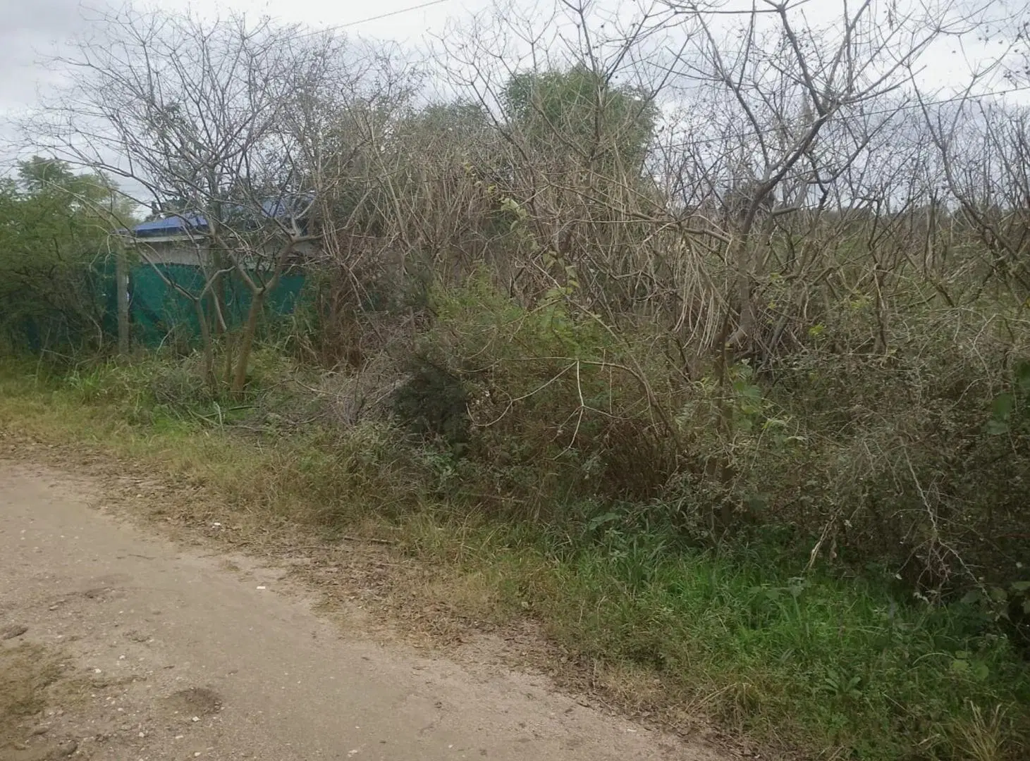 VENTA LOTE AGUA DE ORO 567m2 USD10.000 2