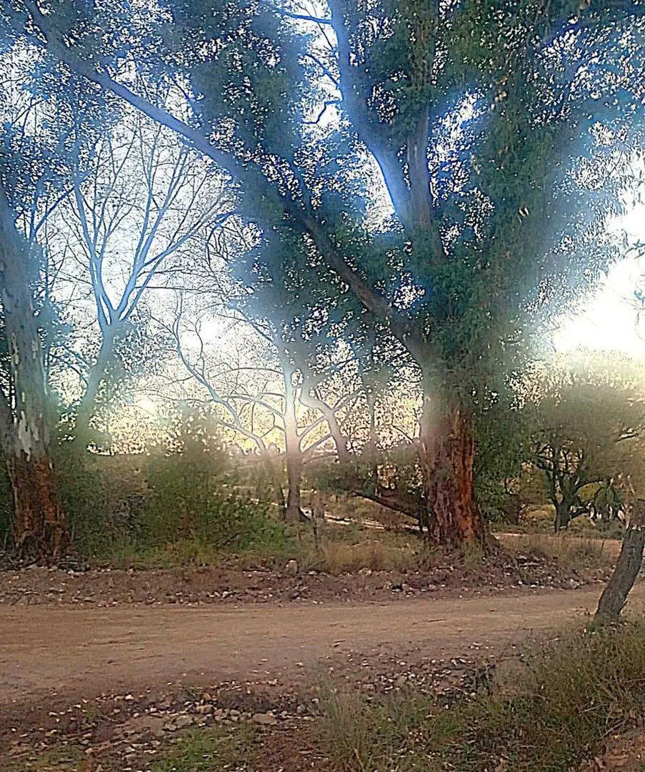 VENTA LOTE EN VILLA YACANTO 900 M2 CON ESCRITURA 2