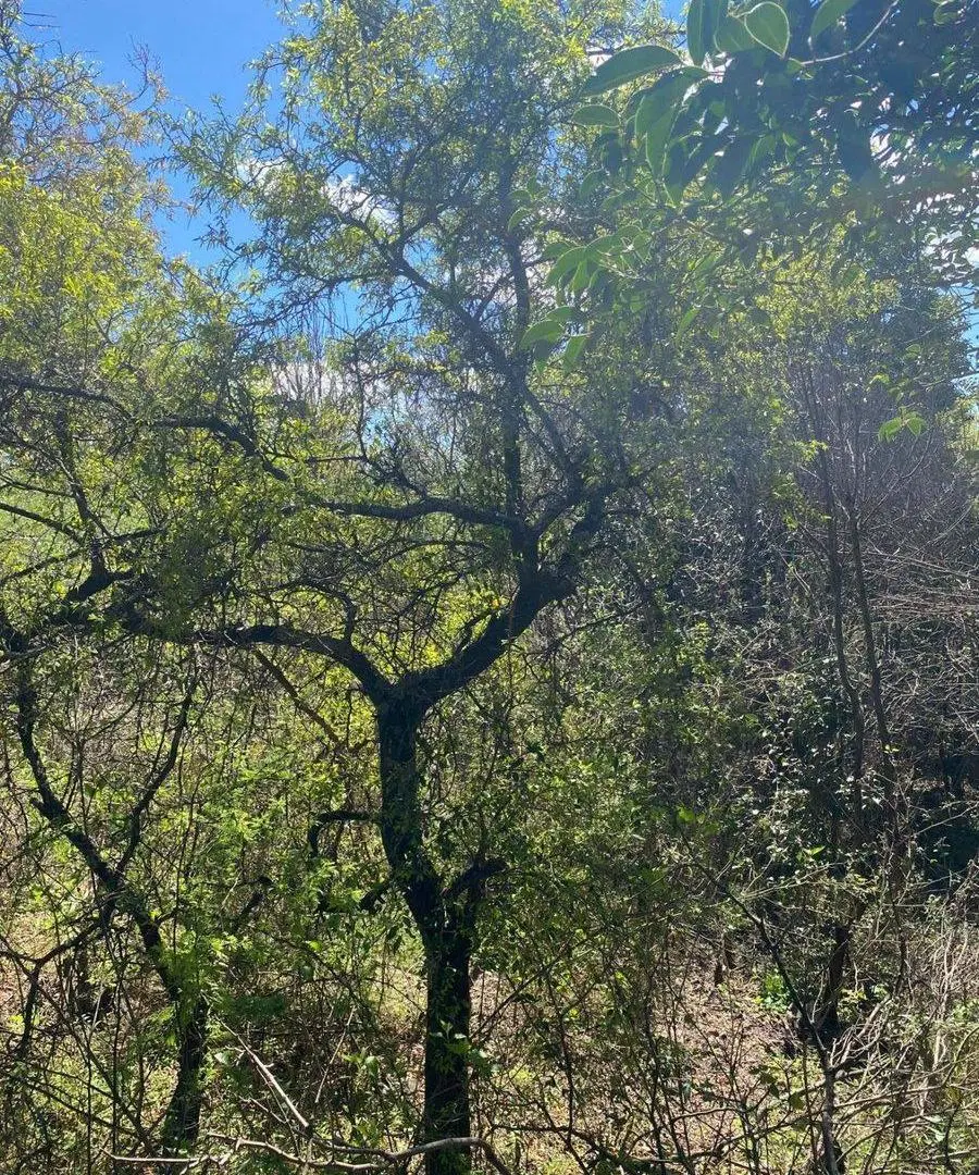 LOTE 472m2 B° SERRANIAS - RIO CEBALLOS C/ESCRITURA 5