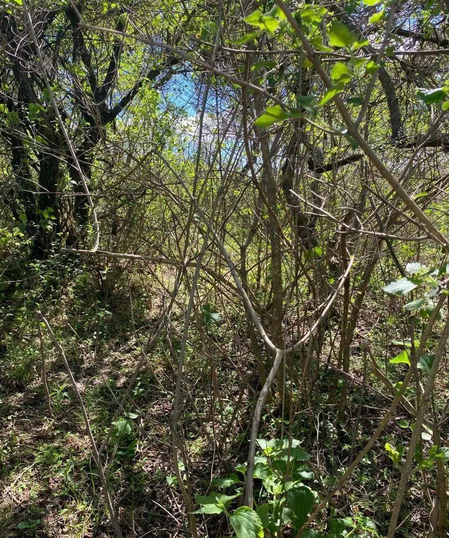 LOTE 472m2 B° SERRANIAS - RIO CEBALLOS C/ESCRITURA 8