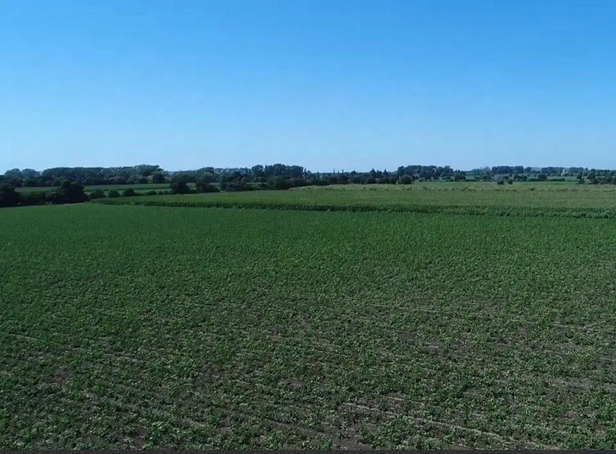 Chacra en venta en Colonia Caroya 4,87 Ha. 4