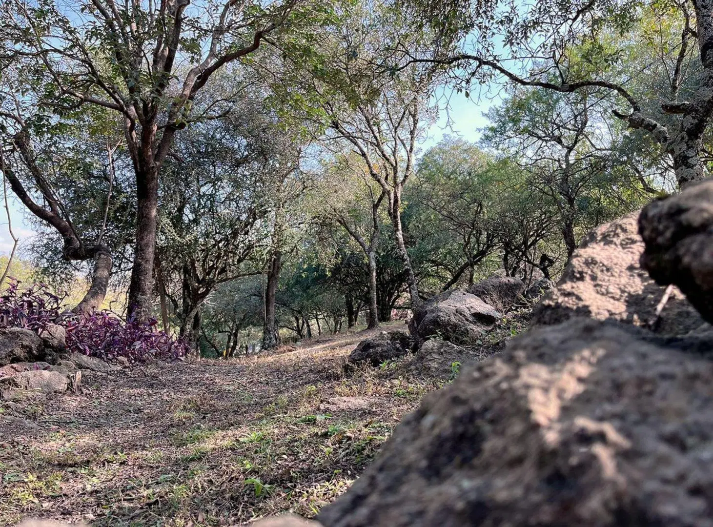 VENTA LOTE 1000 Mts EN VILLA EL ROSAL AGUA DE ORO 1