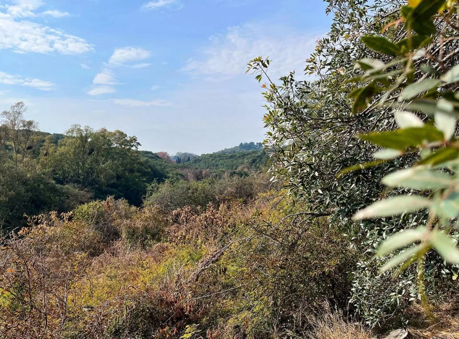 VENTA LOTE 1000 Mts EN VILLA EL ROSAL AGUA DE ORO 4