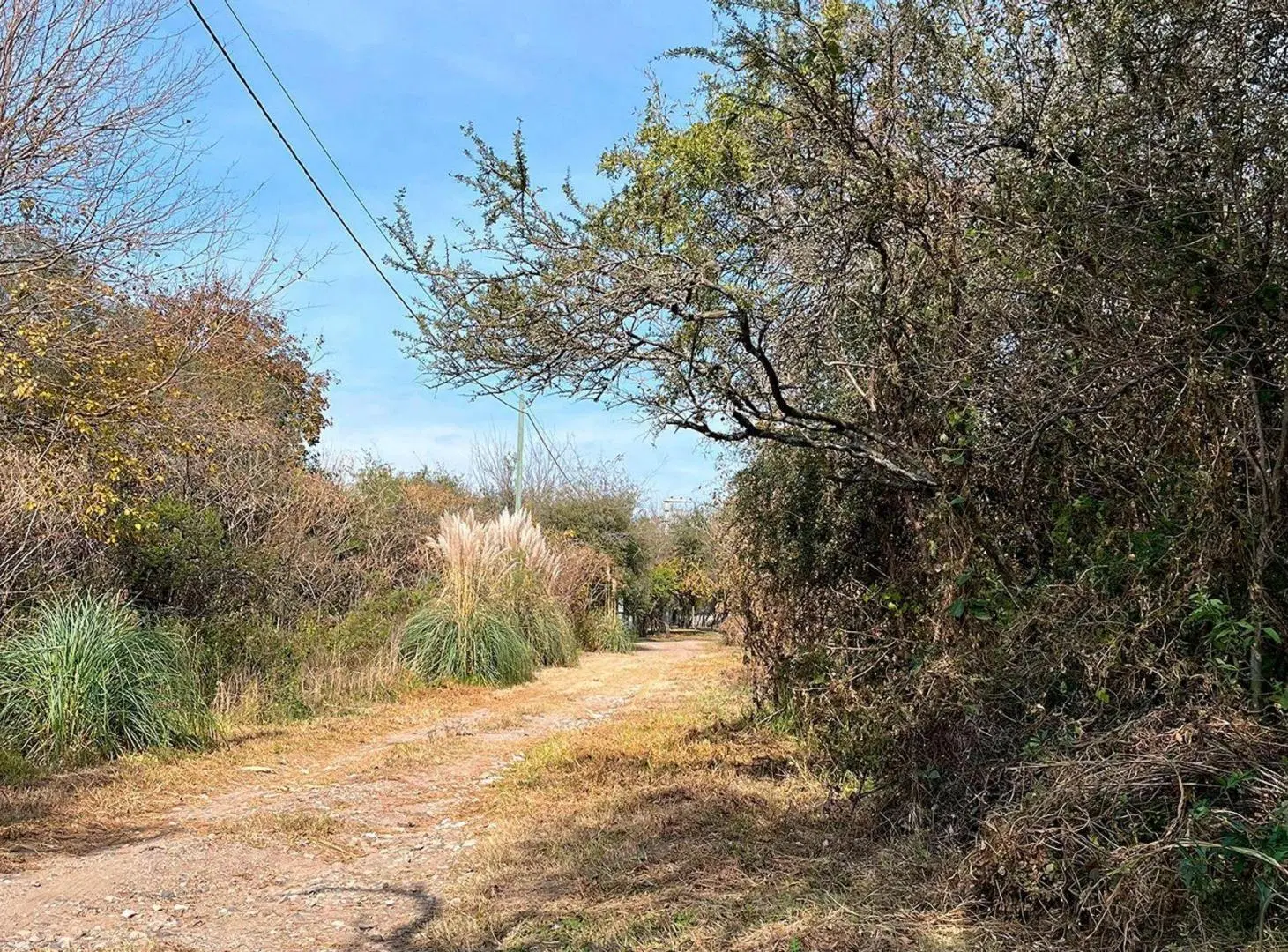 VENTA LOTE 1000 Mts EN VILLA EL ROSAL AGUA DE ORO 2