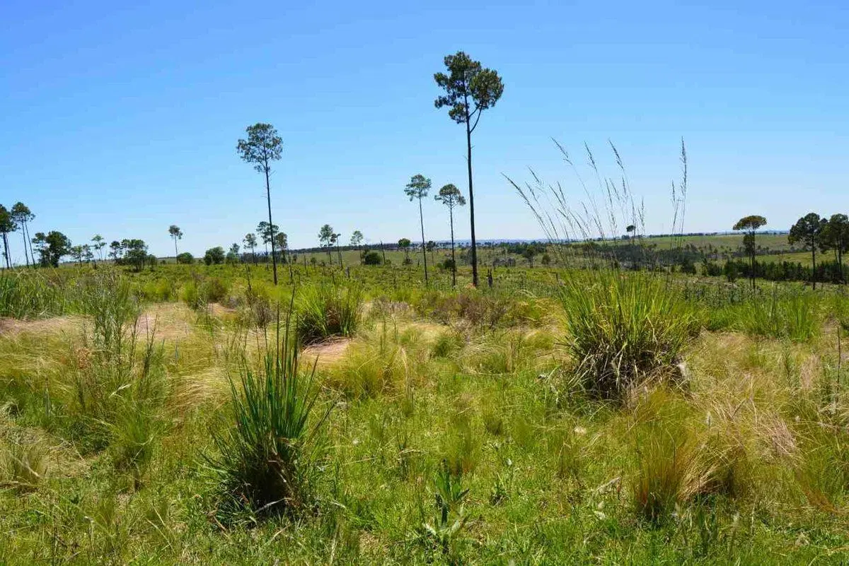 LOTE 3000m2 V.YACANTO PROMO 2 LOTES AL PRECIO DE 1 5