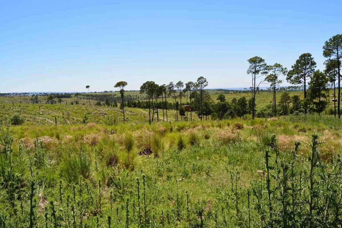 LOTE 3000m2 V.YACANTO PROMO 2 LOTES AL PRECIO DE 1 3