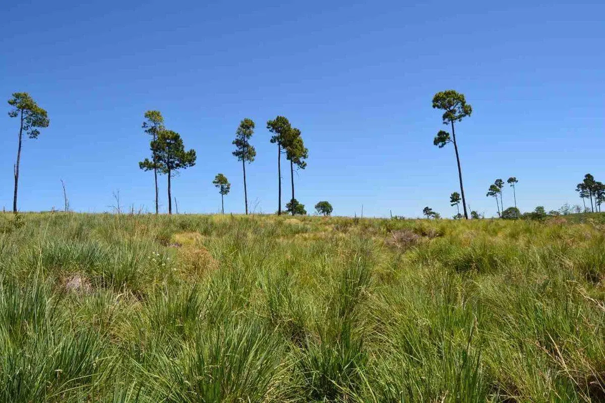LOTE 3000m2 V.YACANTO PROMO 2 LOTES AL PRECIO DE 1 2