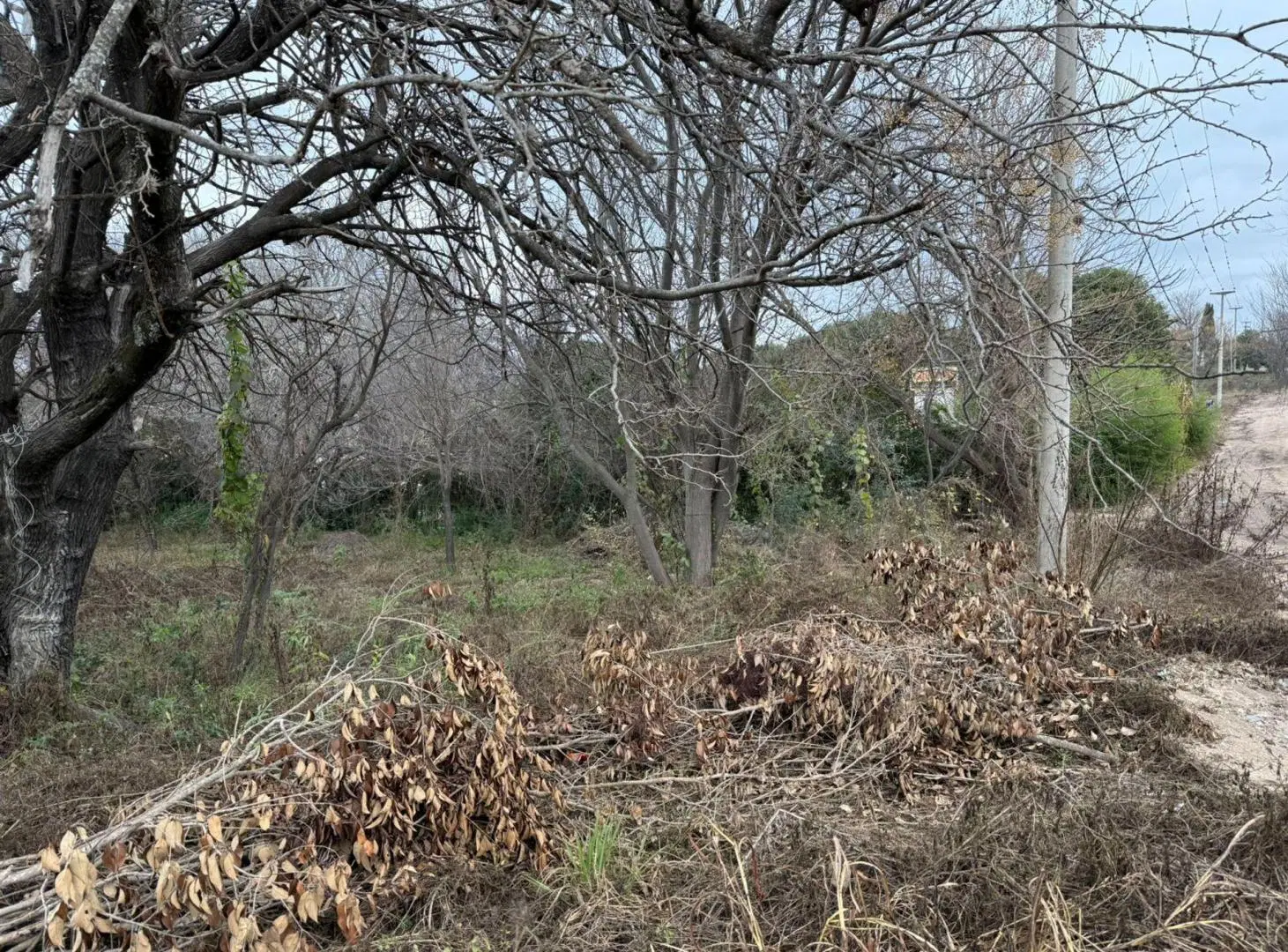 LOTE TANTI SOBRE LA RUTA 28 FRENTE SHELL Y KEOKEN 8