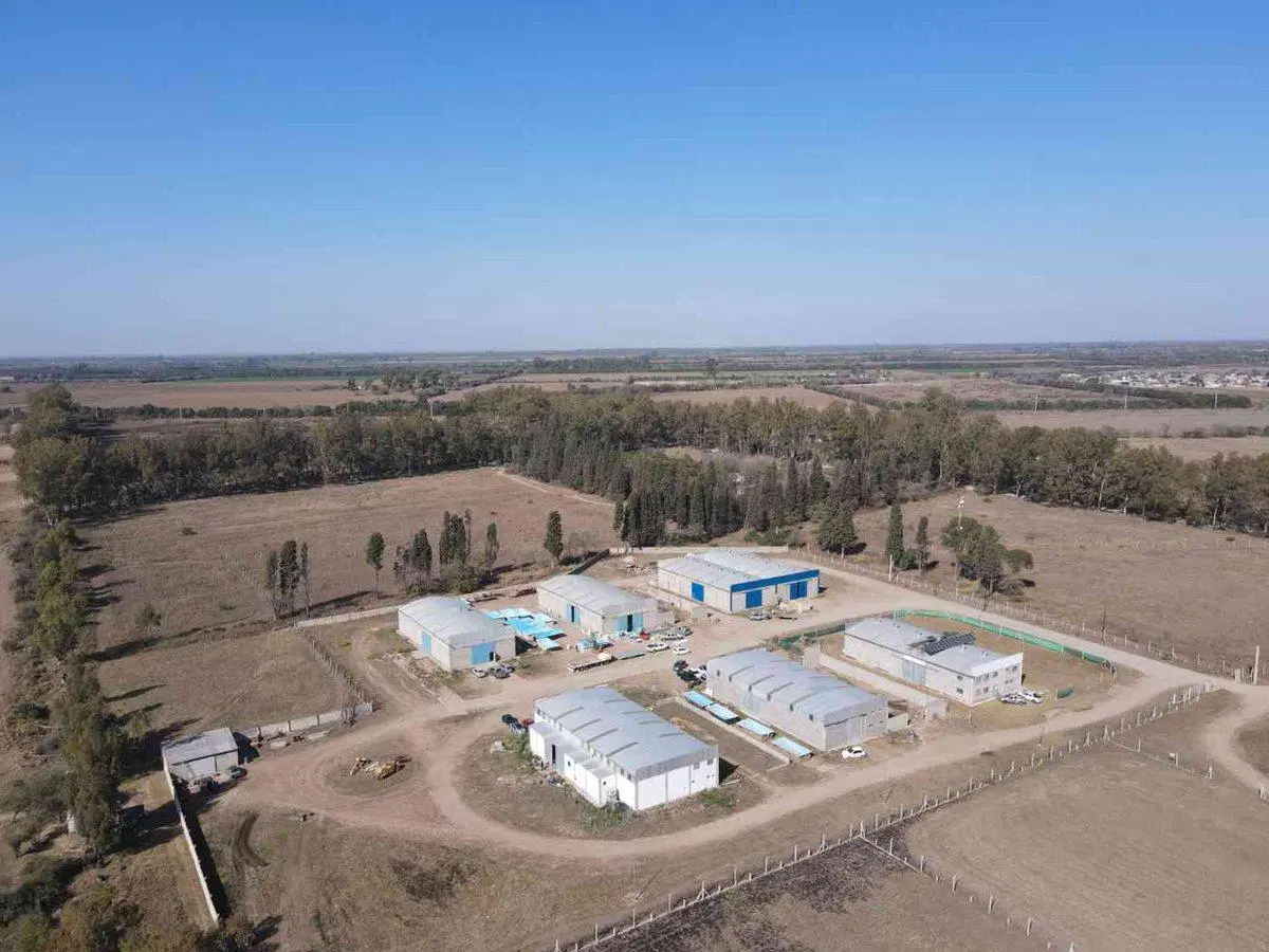 VENTA TERRENO 5HAS EN B FERREYRA CÓRDOBA 2