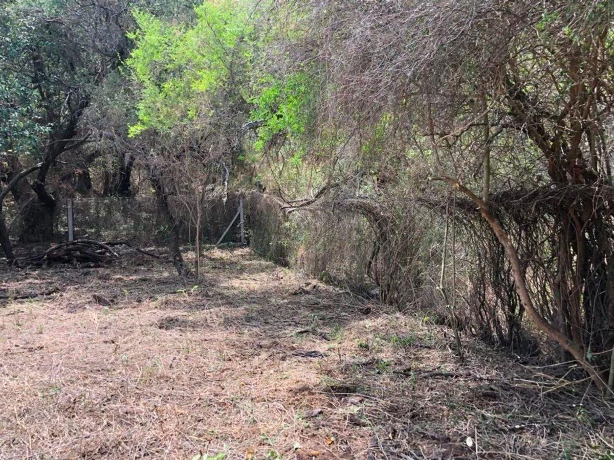 Foto de LOTE EN VENTA EN LOS COCOS CENTRO EXCELENTE VISTAS, imagen 1