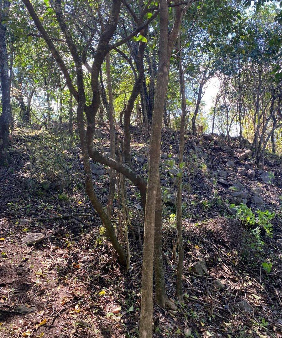 Foto de LOTE 472m2 B° SERRANIAS - RIO CEBALLOS C/ESCRITURA, imagen 4