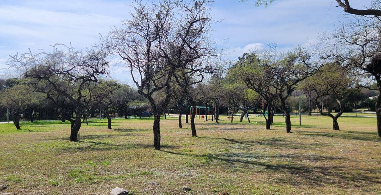 Foto de LOTE EN VENTA VALLE DE ANISACATE ESCRITURA, imagen 5