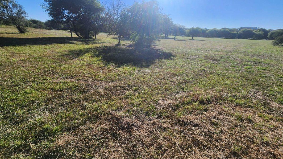 Foto de VENTA LOTES LA MELINCA HARAS COUNTRY GOLF, imagen 4