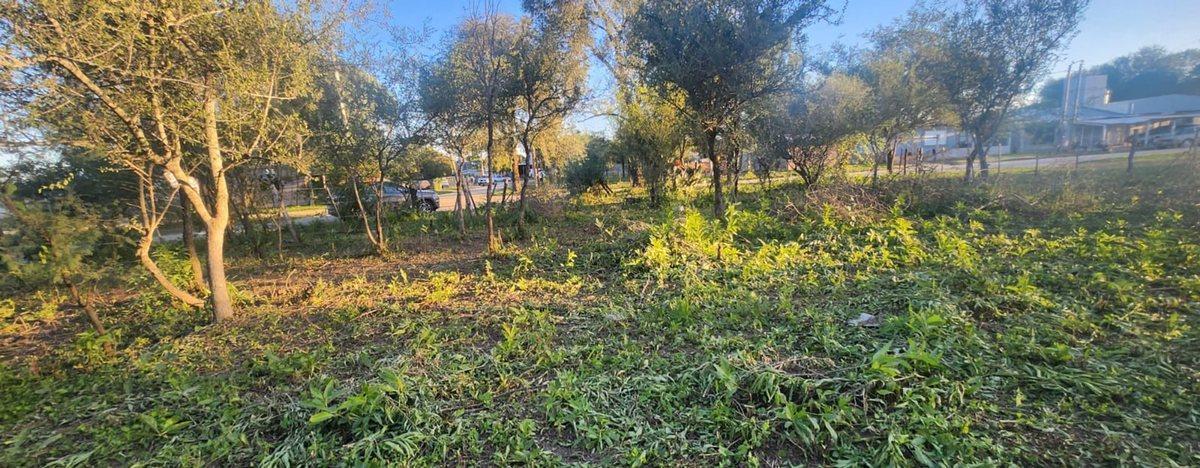 Foto de VENTA LOTE VALLE ALEGRE 408 M2 ALTA GRACIA, imagen 4