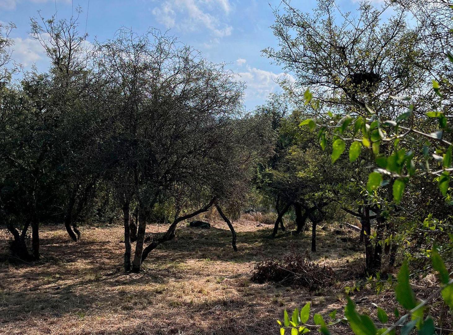 Foto de VENTA LOTE 1000 Mts EN VILLA EL ROSAL AGUA DE ORO, imagen 4