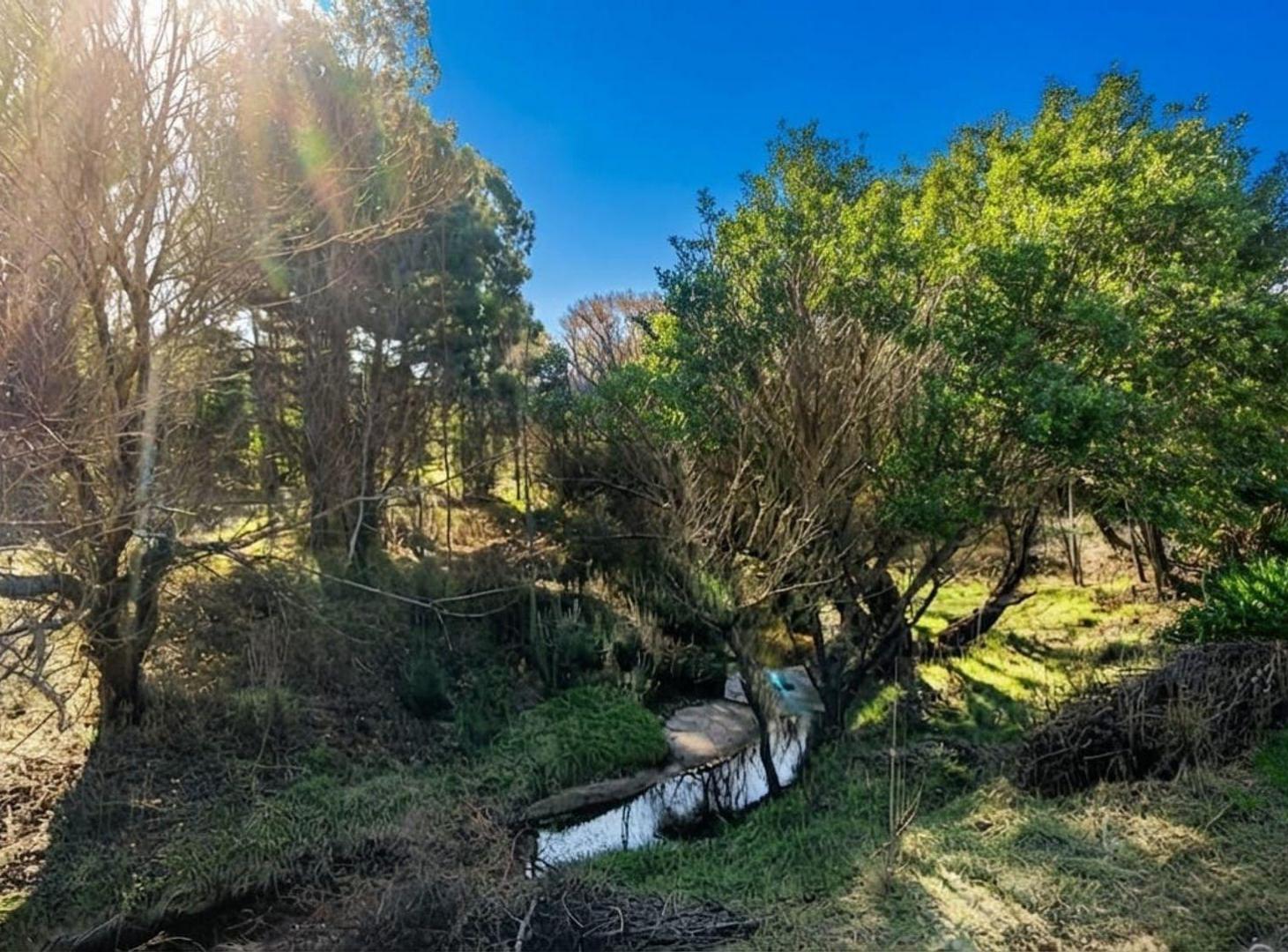Foto de TERRENO EN VENTA 2500m2 VILLA YACANTO ZONA ARROYO, imagen 2