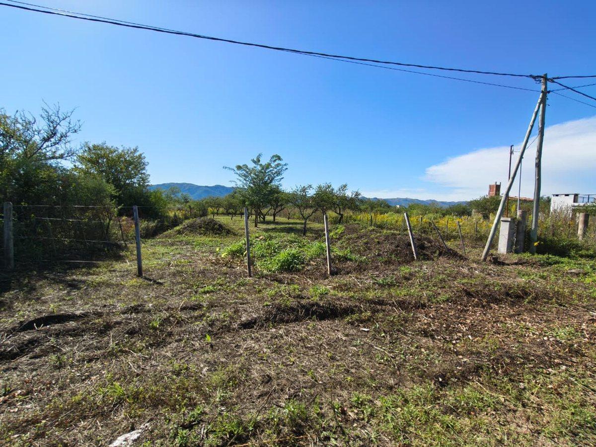 Foto de TERRENO 900MTS A 3 CUADRAS DEL LAGO LOS ESPINILLOS, imagen 4
