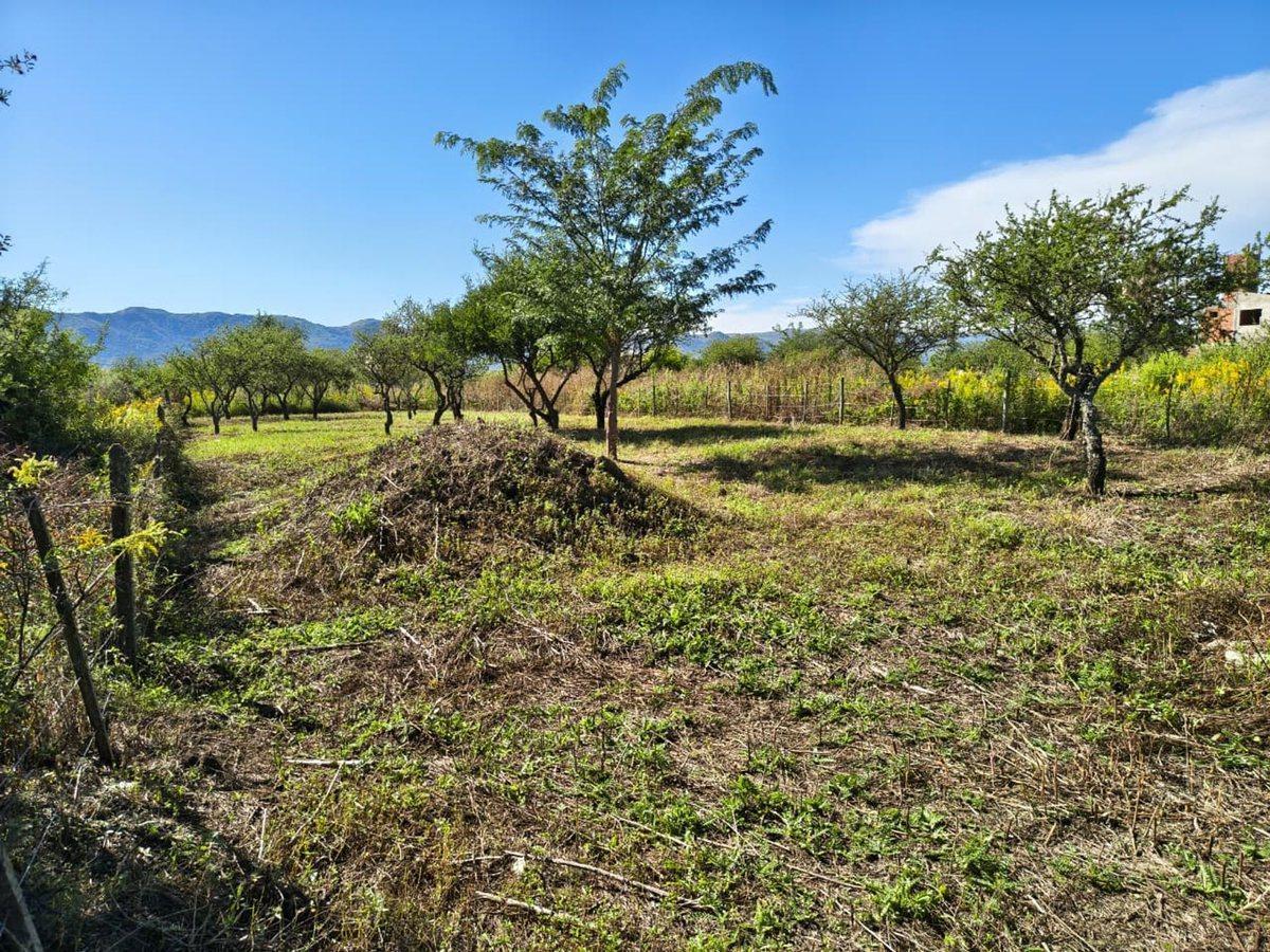 Foto de TERRENO 900MTS A 3 CUADRAS DEL LAGO LOS ESPINILLOS, imagen 2