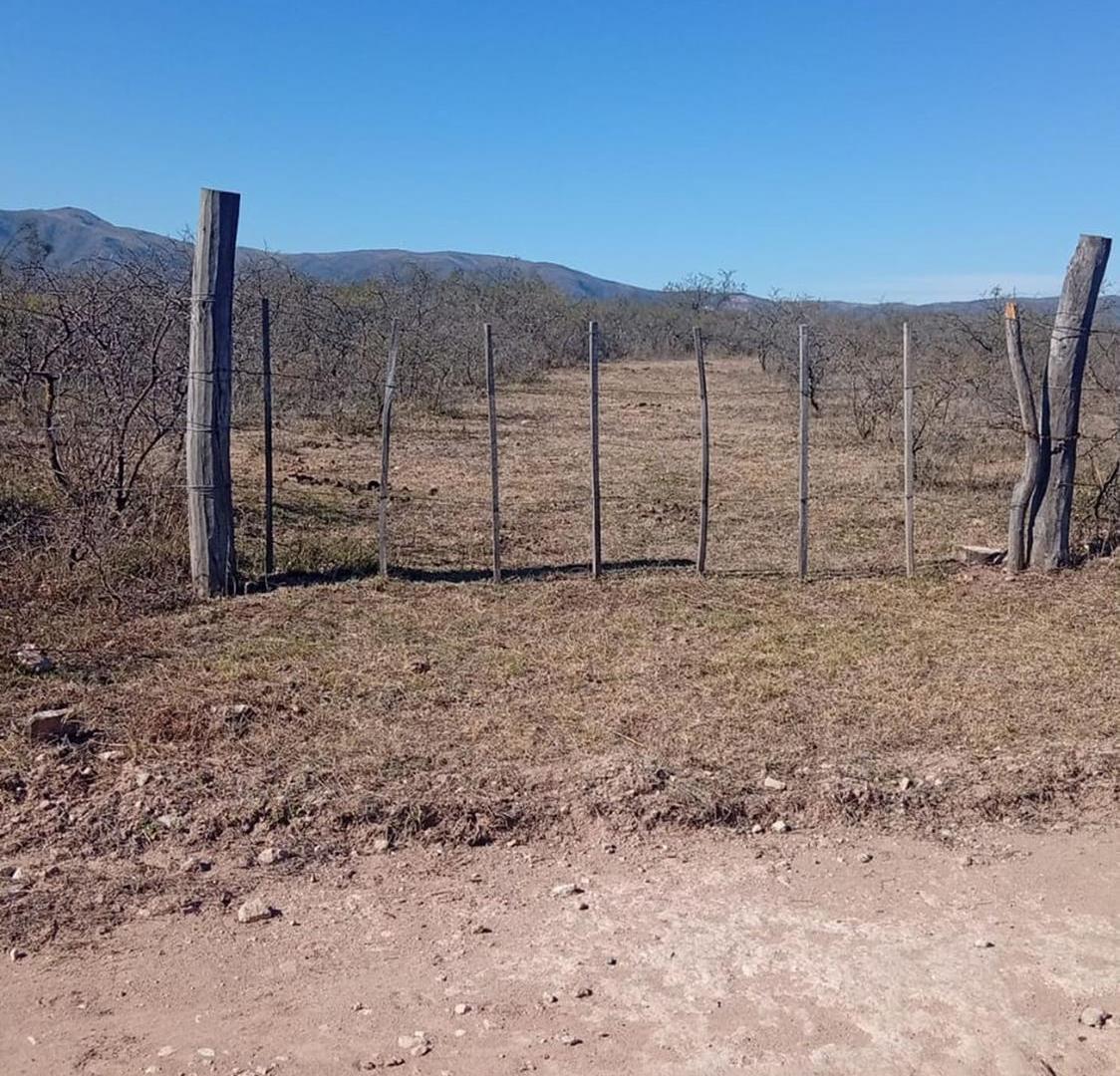 Foto de En Venta lote 17.6 ha La Falda Cordoba Oportunidad, imagen 3