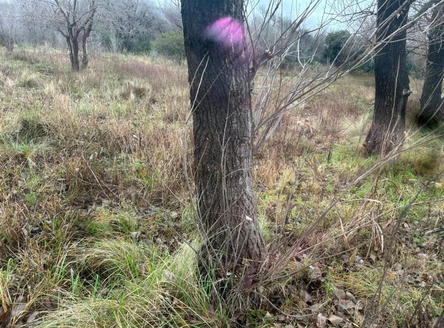 Foto de VENDO LOTE SAN ROQUE 900MTS, imagen 4