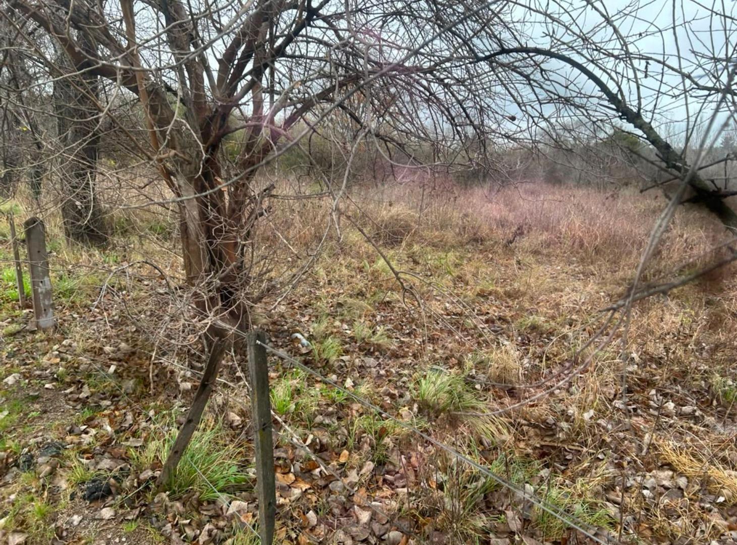 Foto de VENDO LOTE SAN ROQUE 800MTS, imagen 2