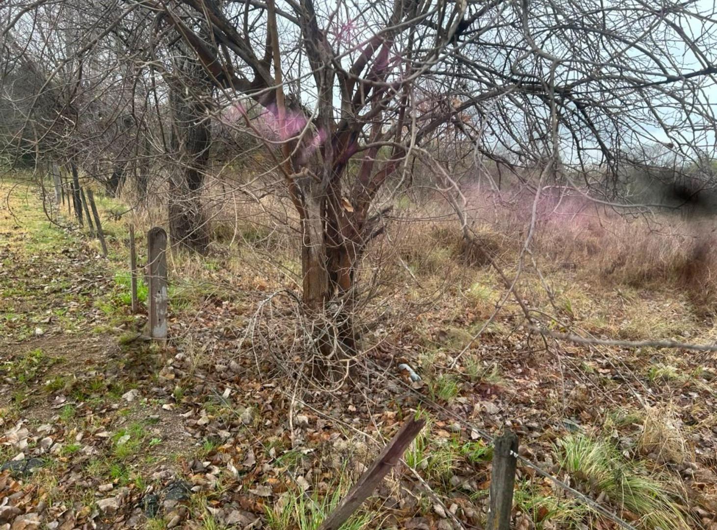 Foto de VENDO LOTE SAN ROQUE 800MTS, imagen 3