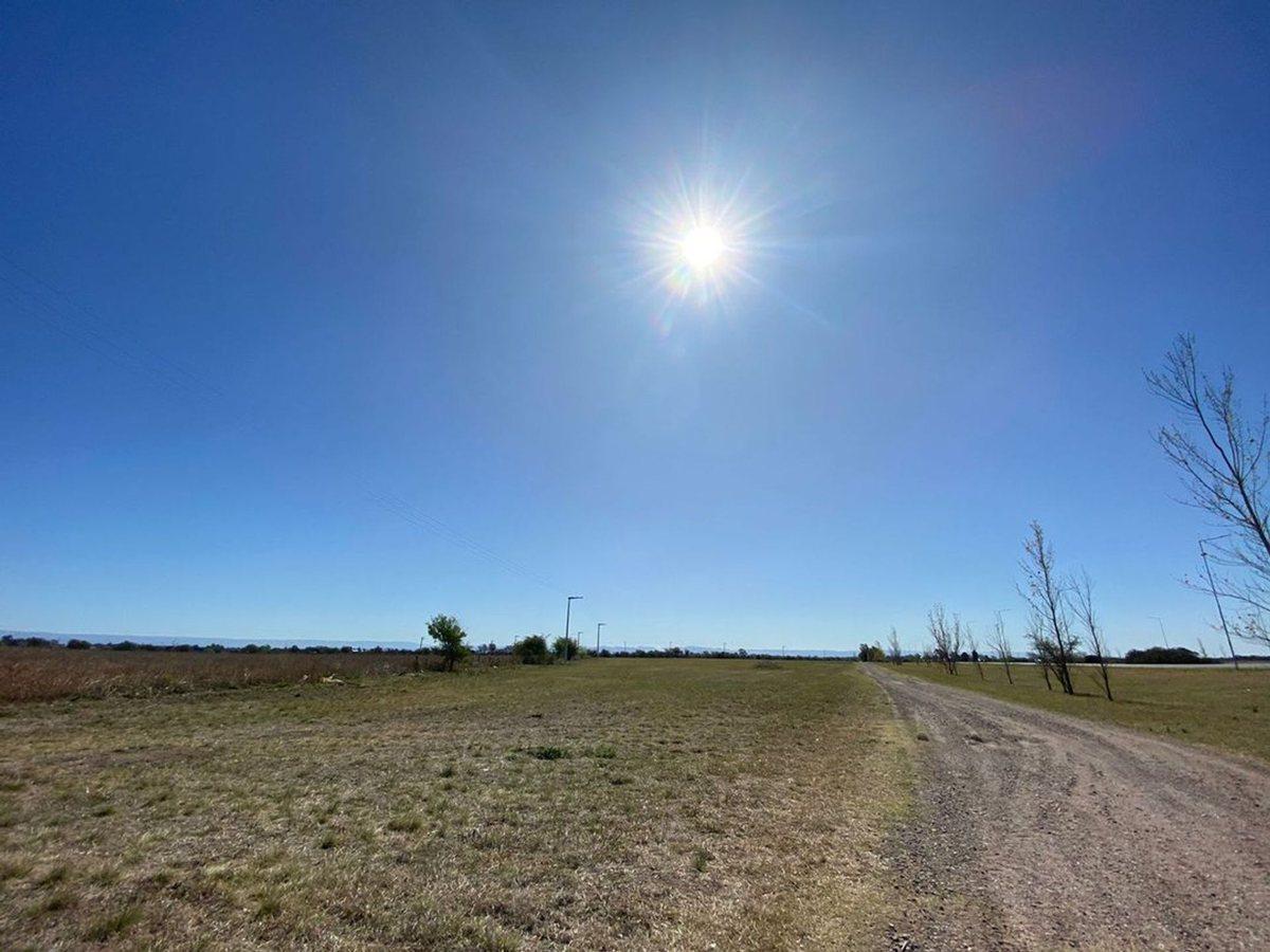Foto de VENTA LOTE 2,5 HAS EN AUTOPISTA CÓRDOBA ROSARIO, imagen 4