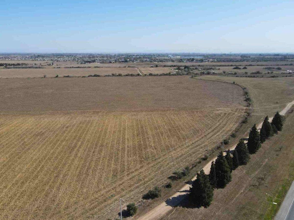 Foto de VENTA LOTE 2,5 HAS EN AUTOPISTA CÓRDOBA ROSARIO, imagen 5