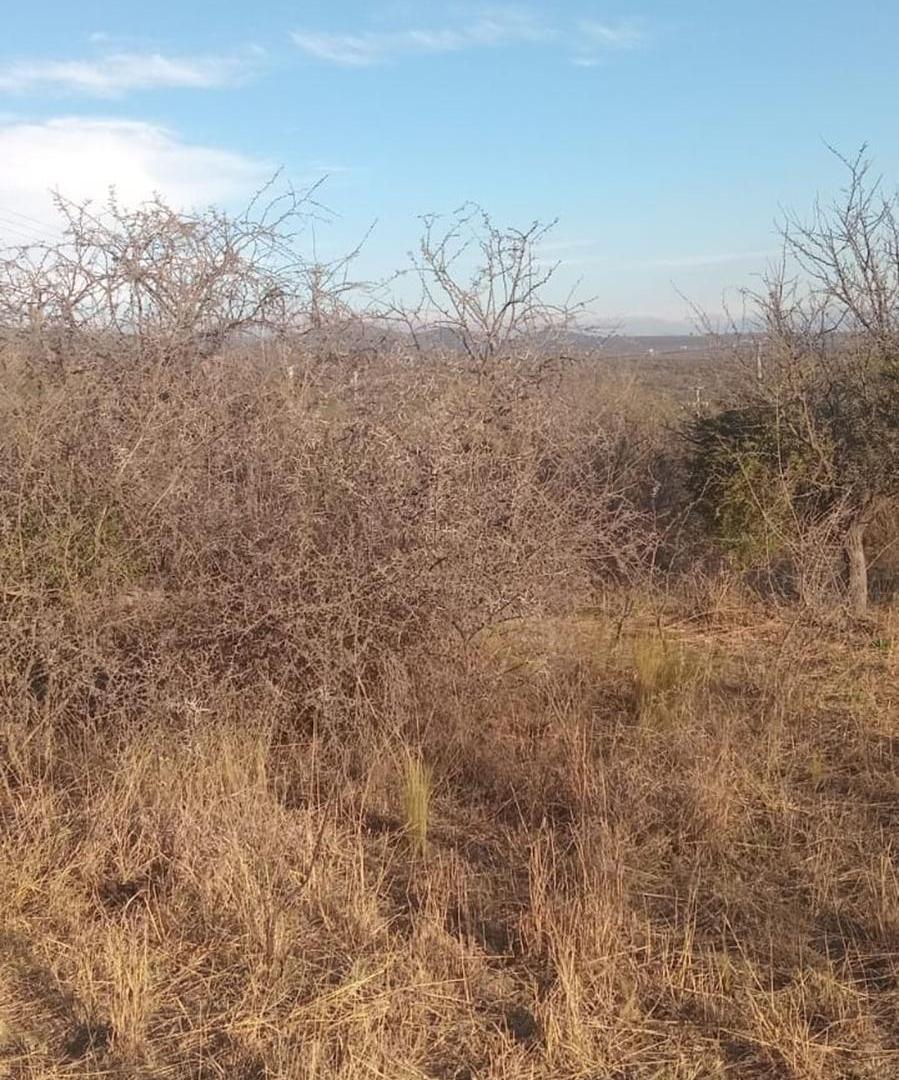 Foto de VENTA TERRENO 600M LOS COCOS, PUNILLA, imagen 4