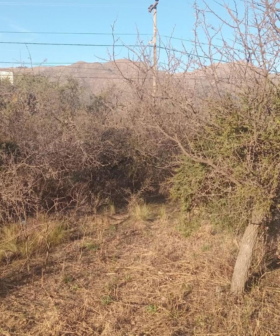 Foto de VENTA TERRENO 600M LOS COCOS, PUNILLA, imagen 2