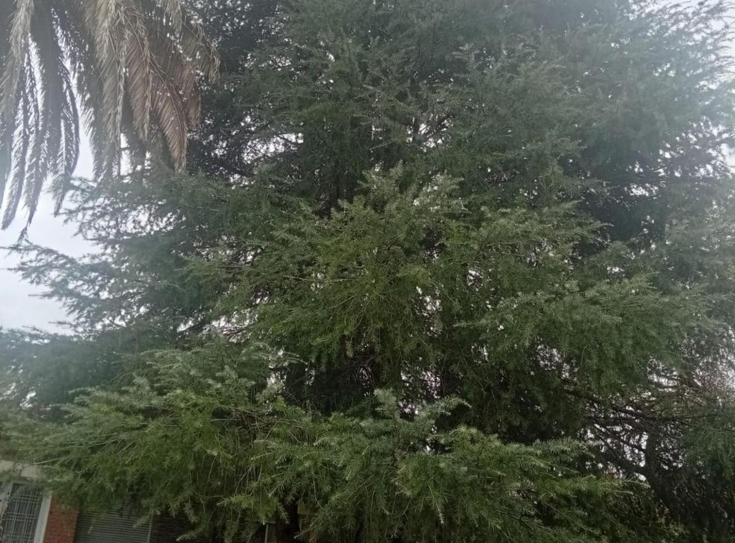 Foto de Venta Casa Chalet Villa Giardino a 50 mts de Ruta, imagen 2